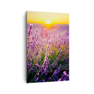 Cuadro sobre lienzo - Impresión de Imagen - Campo de lavanda al atardecer - 80x120cm - Pradera fragante - Decoración de pared moderna para salón y dormitorio ARTTOR