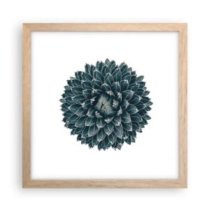 Póster en marco roble claro - Estrella del desierto - 30x30 cm