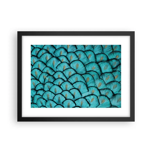 Póster en marco negro - La gran gala de las plumas - 40x30 cm