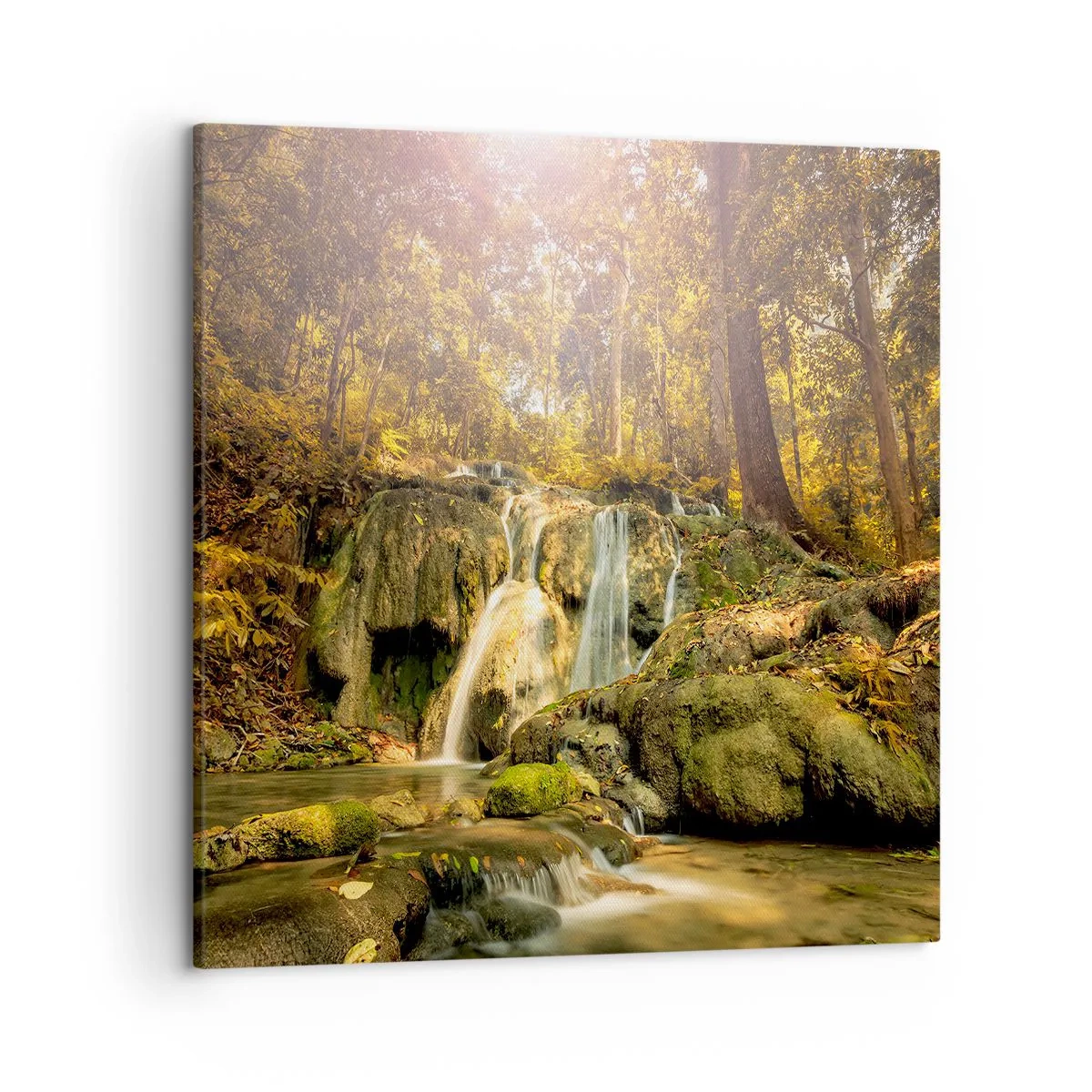Cuadro sobre lienzo - Impresión de Imagen - Cascada forestal en verde - 50x50 cm