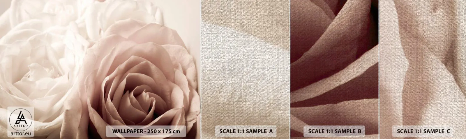 Muestra de fotomural Premium Canvas - En el corazón de una rosa - rosas, flores, Romántico - 100x30 cm