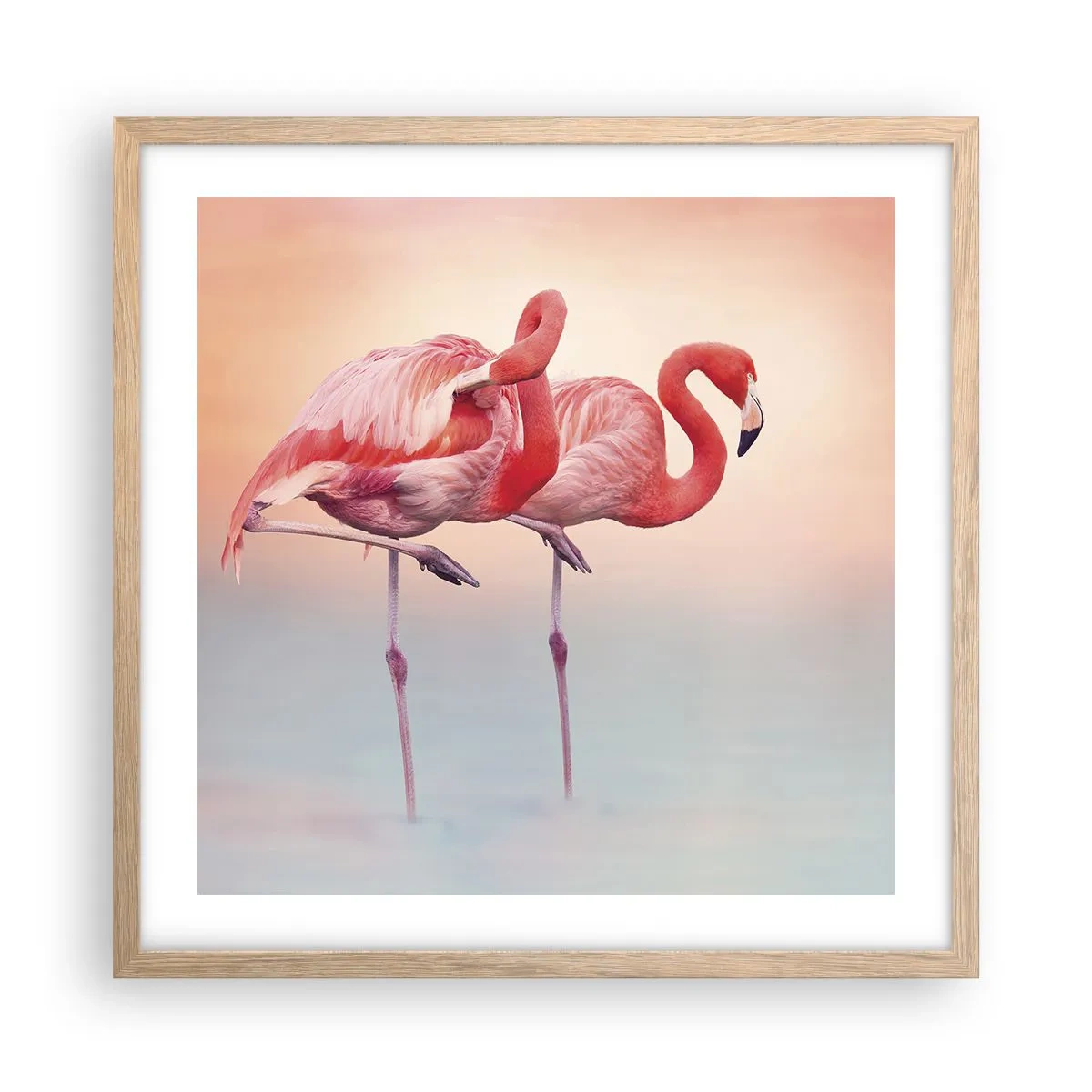 Póster en marco roble claro - Elegancia bajo el sol de poniente - 50x50 cm