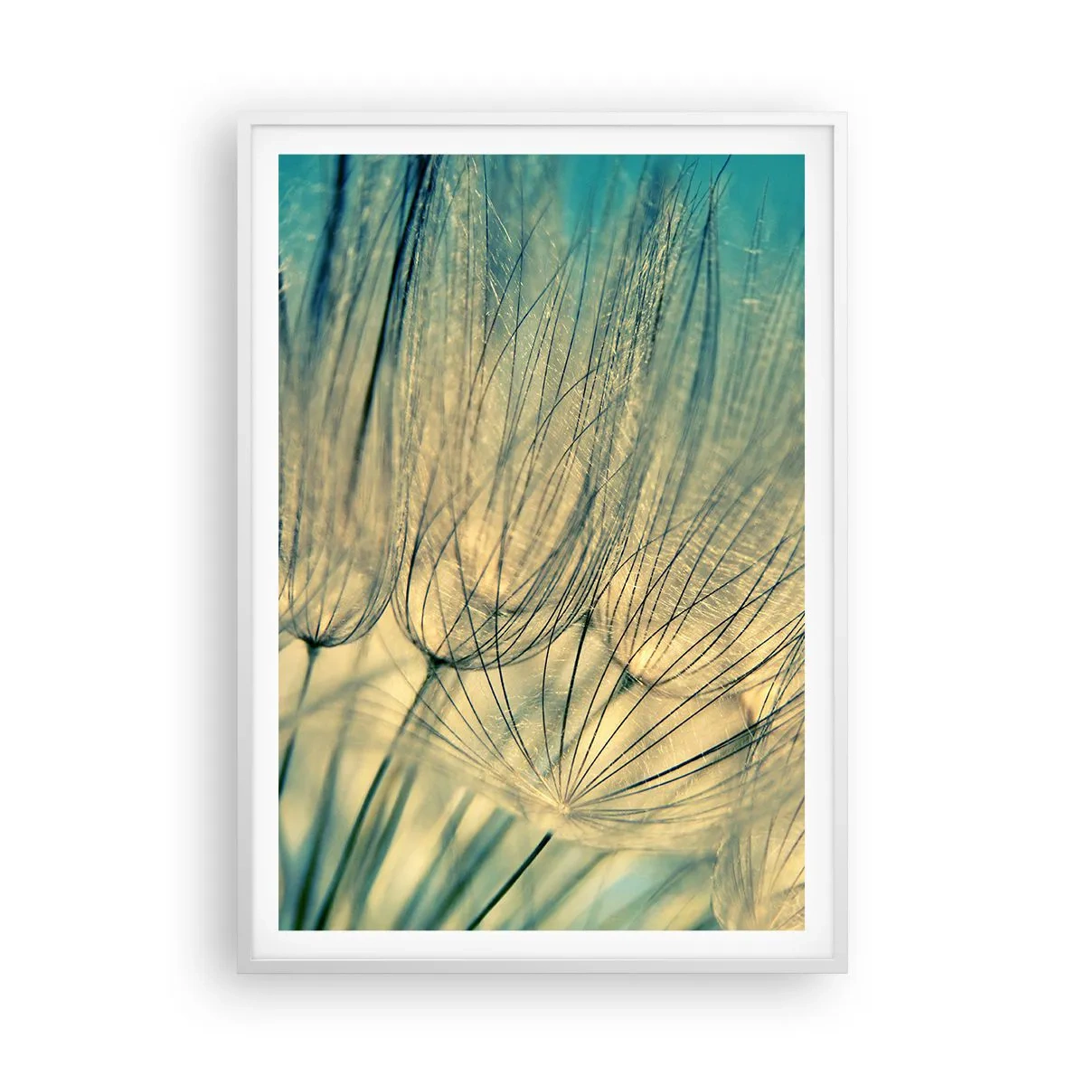 Póster en marco blanco - Esperando el viento - 70x100 cm