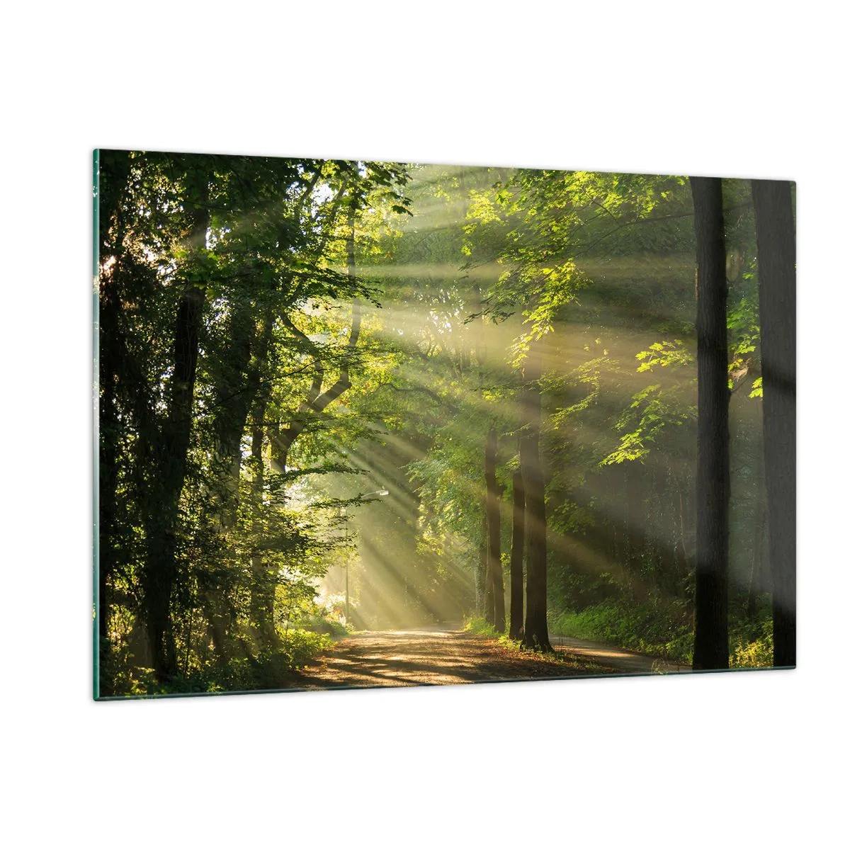 Cuadro sobre vidrio - Impresiones sobre Vidrio - Un camino forestal iluminado por los rayos del sol. - 120x80cm - Un momento en el bosque - Decoración de pared moderna para salón y dormitorio ARTTOR