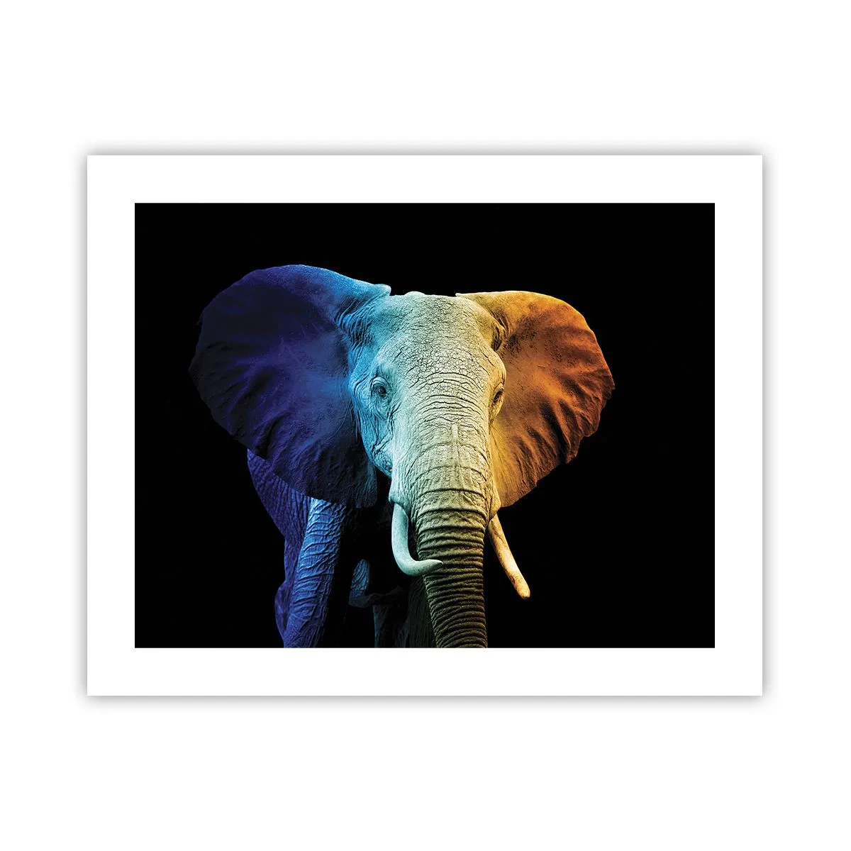 Póster - Excéntrico, no un bicho raro - 50x40 cm