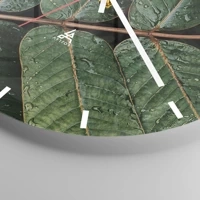 Esfera sin numeración, con rayas