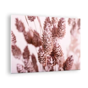 Cuadro sobre vidrio - Impresiones sobre Vidrio - Espigas de hierba seca en tonos rosa empolvado - 70x50cm - Aparentemente discreto - Decoración de pared moderna para salón y dormitorio ARTTOR