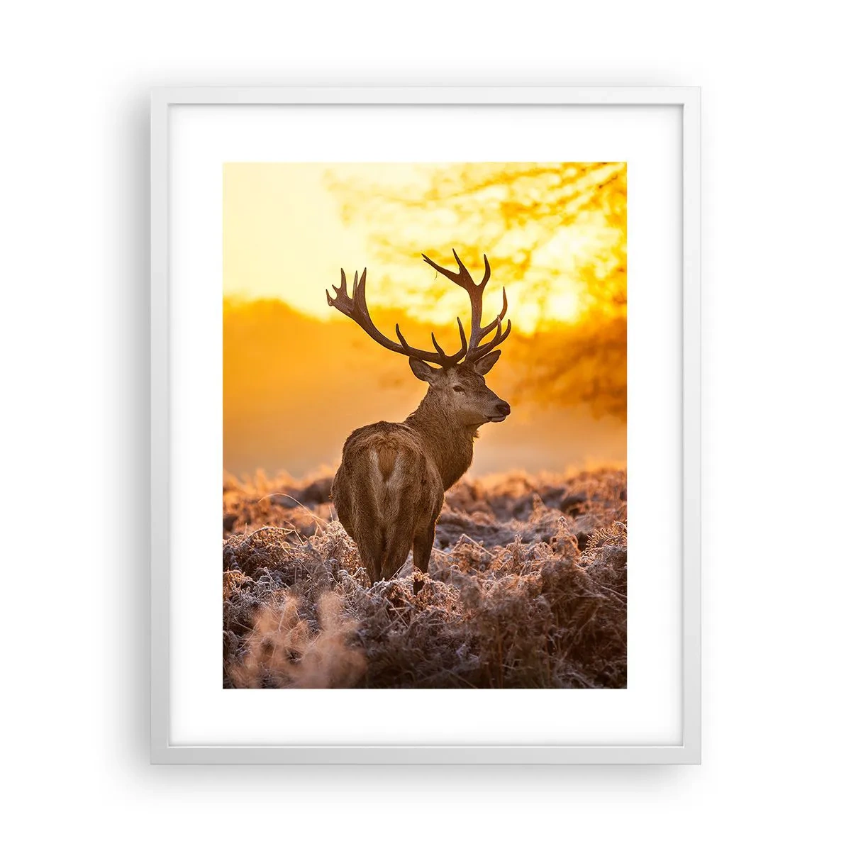 Póster en marco blanco - Rey del bosque de otoño - 40x50 cm