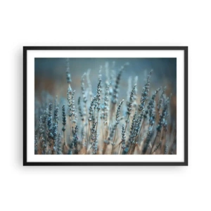 Póster en marco negro - Lavanda en el campo en sutiles tonos pastel. - 70x50cm - Fragante pasto - Decoración de pared moderna para salón y dormitorio ARTTOR