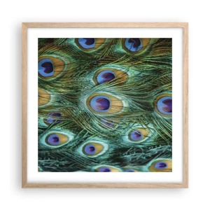 Póster en marco roble claro - Mirada de pavo real - 50x50 cm