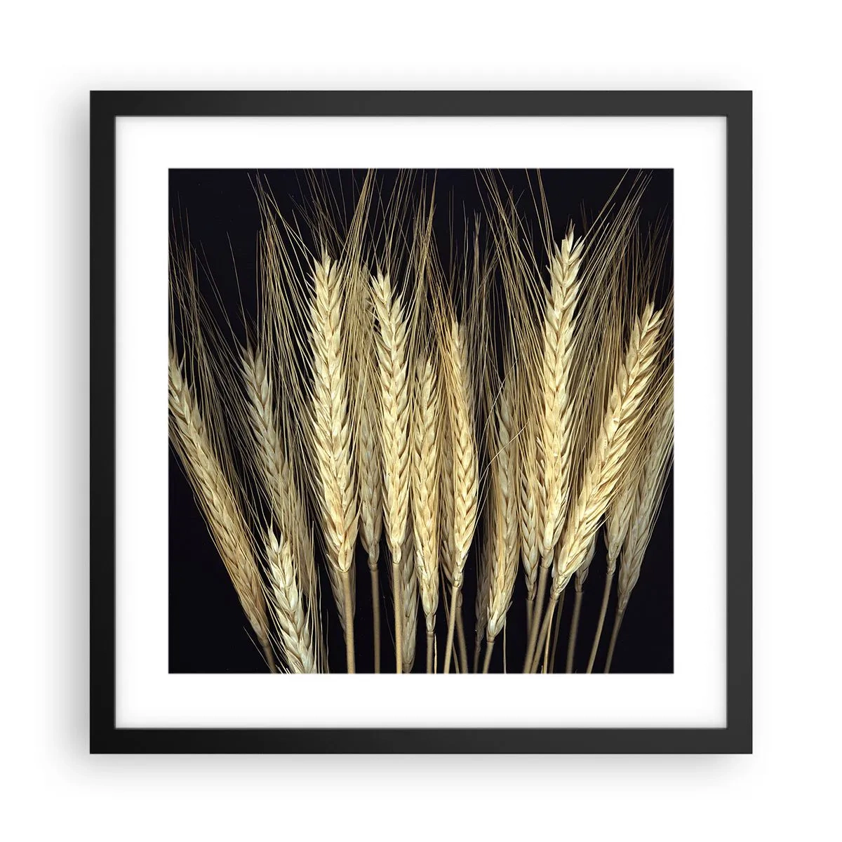 Póster en marco negro - Magia rústica - 40x40 cm