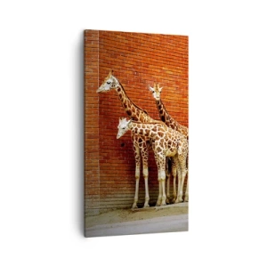 Cuadro sobre lienzo - Impresión de Imagen - ¿Ves alguna acacia? - 45x80 cm