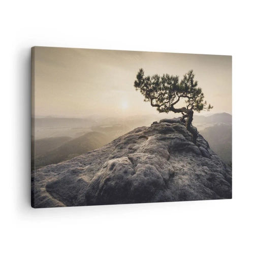 Cuadro sobre lienzo - Impresión de Imagen - Un árbol solitario en un pico rocoso a la luz del sol. - 70x50cm - La vida se abre camino - Decoración de pared moderna para salón y dormitorio ARTTOR