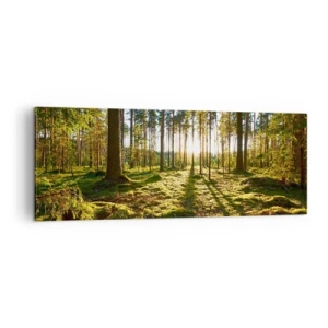 Cuadro sobre lienzo - Impresión de Imagen - Bosque verde iluminado por la luz del sol sobre el musgo. - 140x50cm - ...Más allá de los siete bosques - Decoración de pared moderna para salón y dormitorio ARTTOR