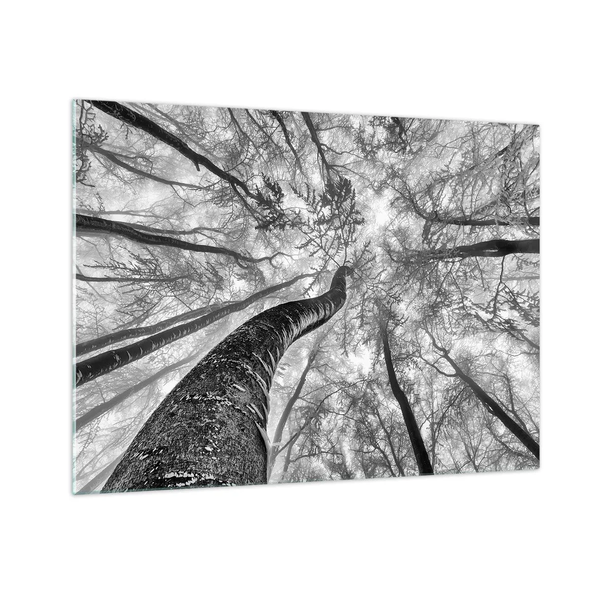 Cuadro sobre vidrio - Impresiones sobre Vidrio - Carrera hacia la luz - 70x50 cm
