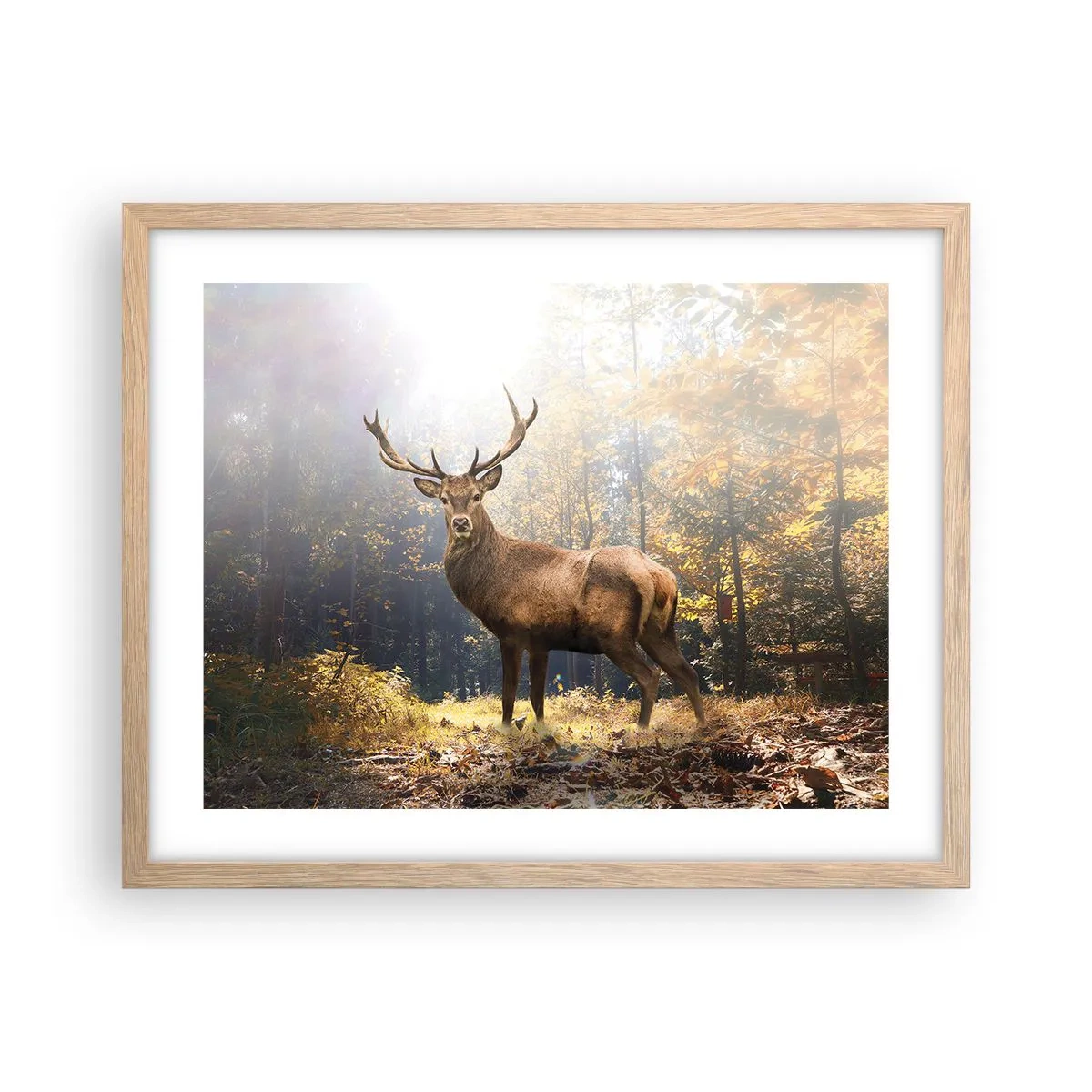 Póster en marco roble claro - Con toda la majestuosidad - 50x40 cm