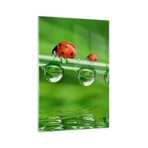 Cuadro sobre vidrio - Impresiones sobre Vidrio - Mariquitas sobre una brizna de hierba con gotas de rocío en un entorno natural. - 70x100cm - En el camino todo el verano - Decoración de pared moderna para salón y dormitorio ARTTOR