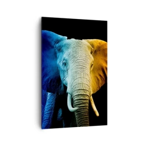 Cuadro sobre lienzo - Impresión de Imagen - Retrato de elefante en colores del arco iris - 80x120cm - Excéntrico, no un bicho raro - Decoración de pared moderna para salón y dormitorio ARTTOR