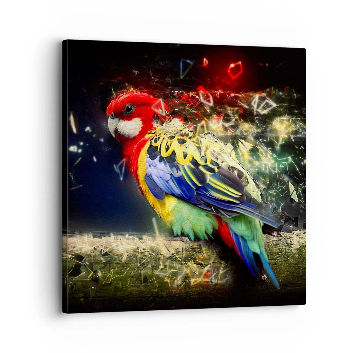 Cuadro sobre lienzo - Impresión de Imagen - Un mensajero del glamour - 30x30 cm