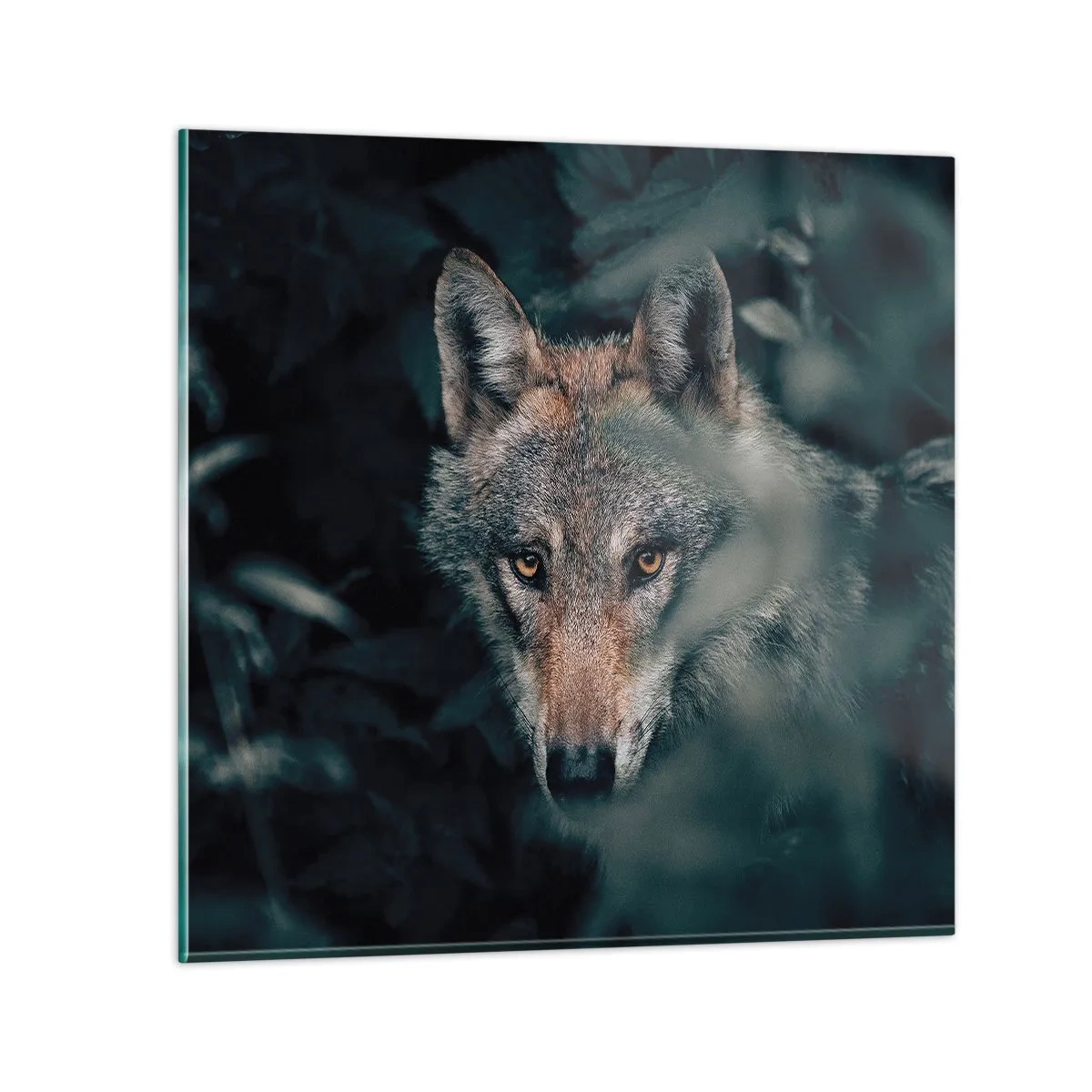 Cuadro sobre vidrio - Impresiones sobre Vidrio - Cazador - 40x40 cm