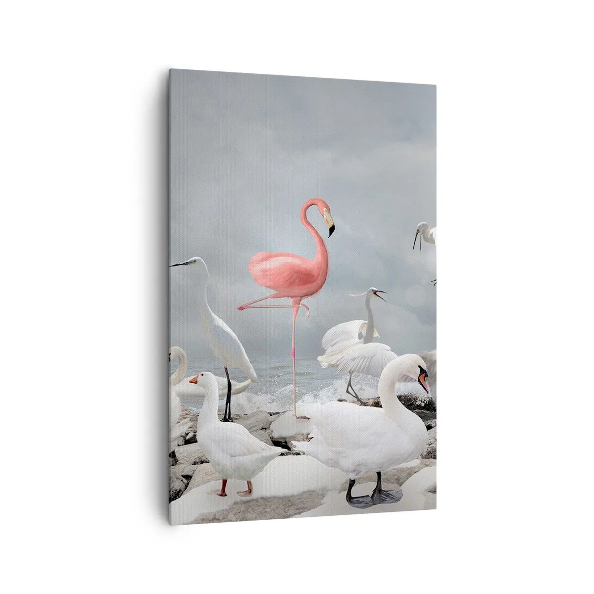 Cuadro sobre lienzo - Impresión de Imagen - Un flamenco rosado entre cisnes blancos con el fondo de un lago. - 80x120cm - ¿De dónde vengo? - Decoración de pared moderna para salón y dormitorio ARTTOR