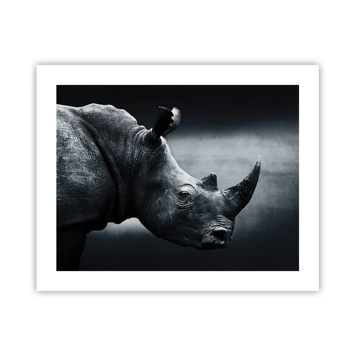 Póster - Perfil derecho - 50x40 cm