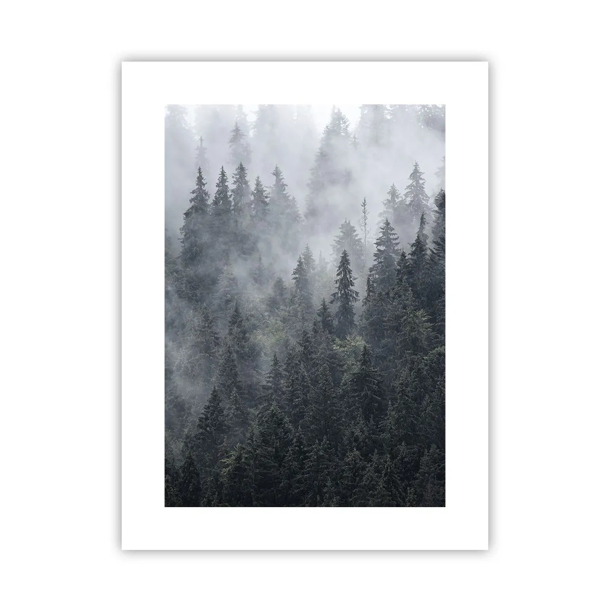 Póster - Amanecer en el bosque - 30x40 cm