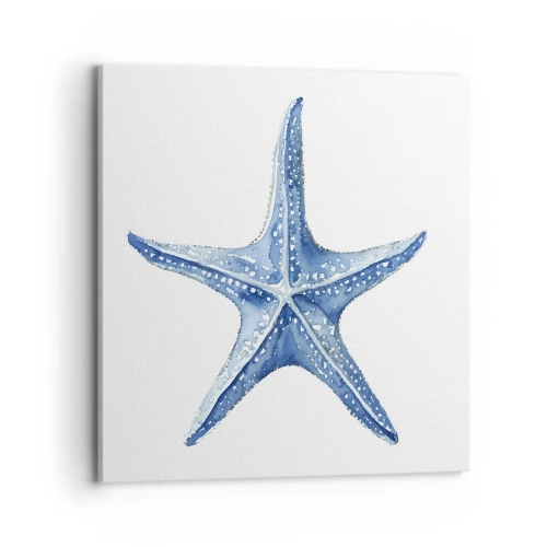 Cuadro sobre lienzo - Impresión de Imagen - Estrella de mar - 70x70 cm
