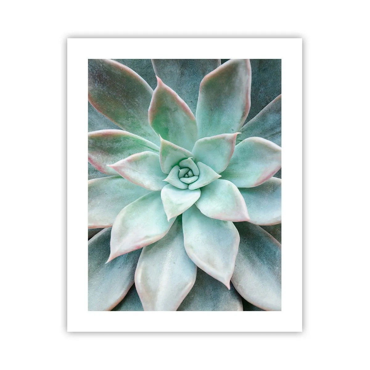 Póster - El corazón del desierto - 40x50 cm