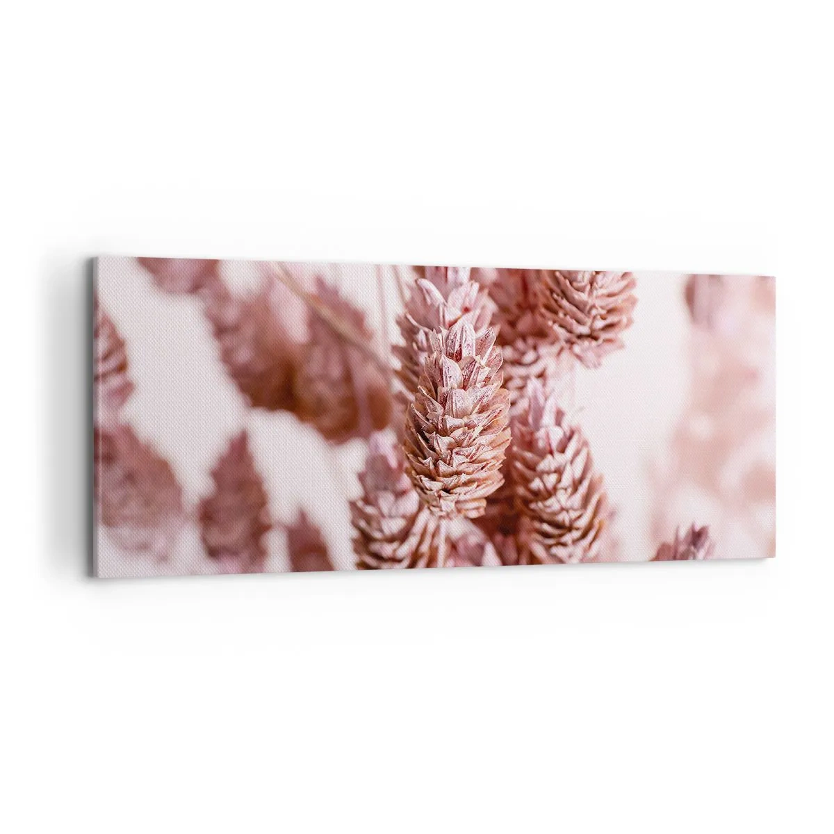 Cuadro sobre lienzo - Impresión de Imagen - Un primer plano de las delicadas espigas rosadas de las hierbas ornamentales. - 120x50cm - Aparentemente discreto - Decoración de pared moderna para salón y dormitorio ARTTOR