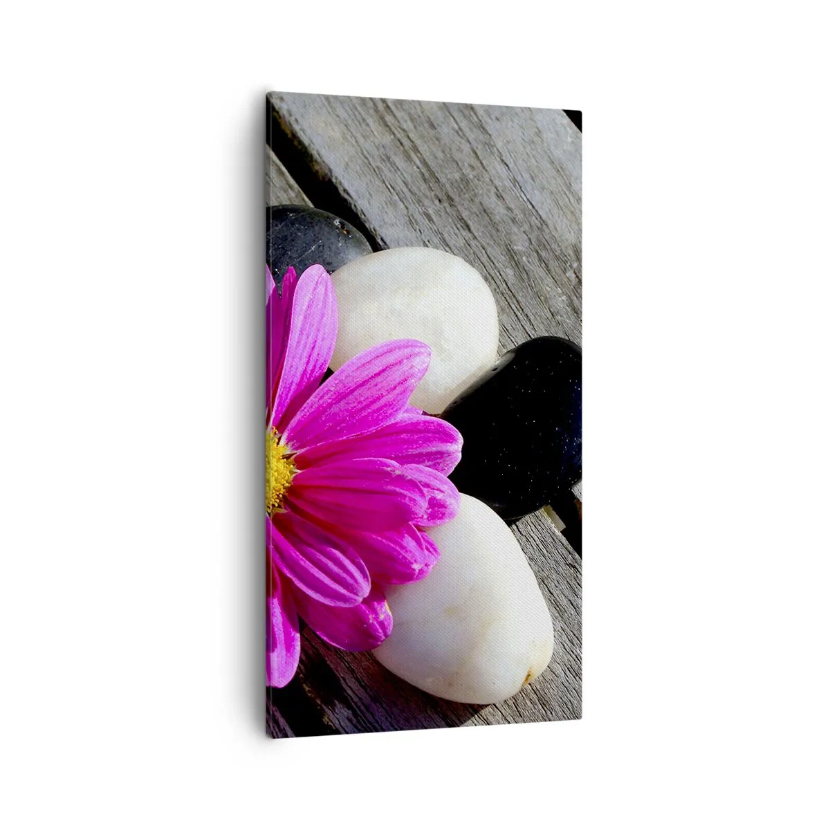 Cuadro sobre lienzo - Impresión de Imagen - Descansando en el muelle - 55x100 cm