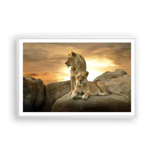 Póster en marco blanco - Majestuosidad real - 91x61 cm