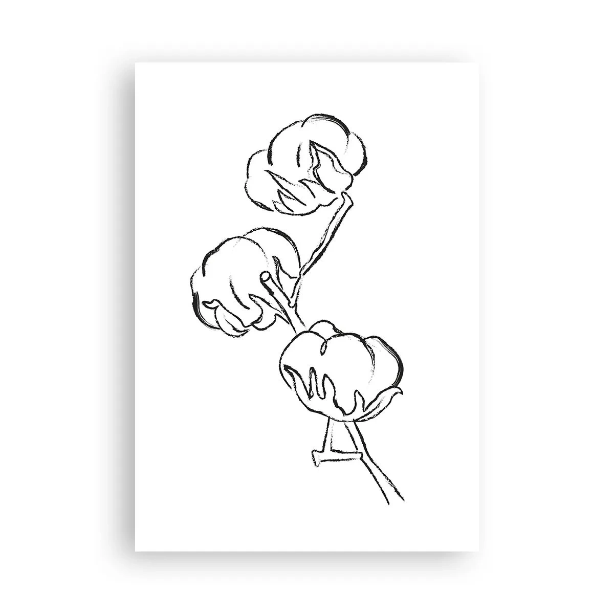 Póster - Plumón de algodón - 70x100 cm