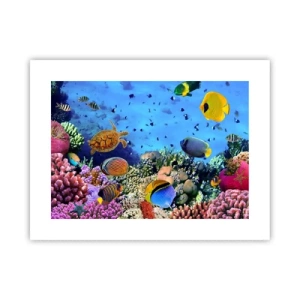 Póster - Y qué sabemos de la vida... - 40x30 cm