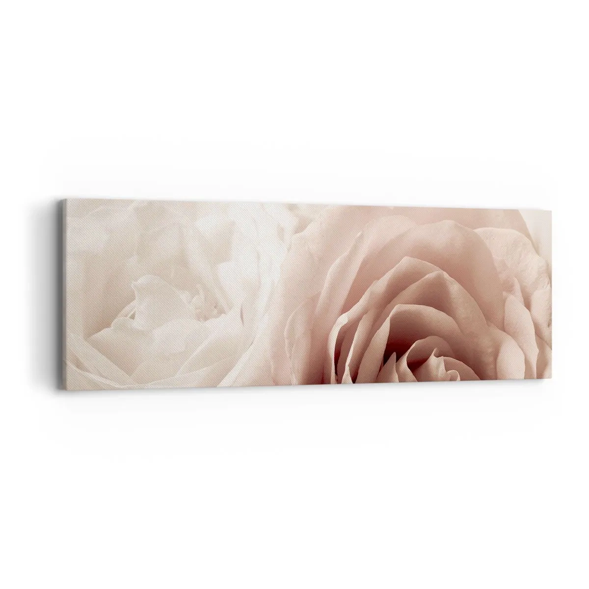 Cuadro sobre lienzo - Impresión de Imagen - En el corazón de una rosa - 90x30 cm