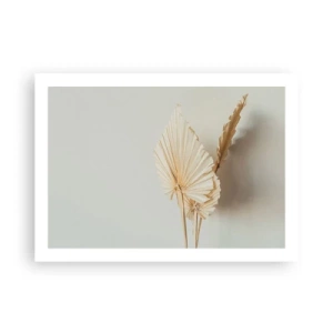 Póster - Armonía y consuelo - 70x50 cm