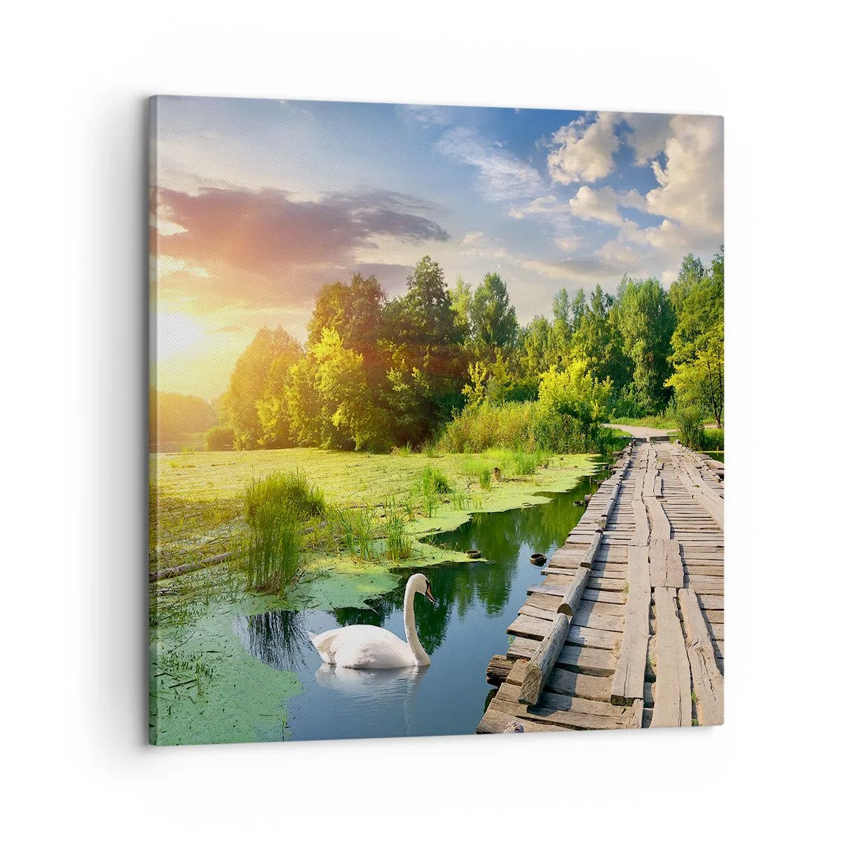 Cuadro sobre lienzo - Impresión de Imagen - Verano, verano en todas partes - 60x60 cm