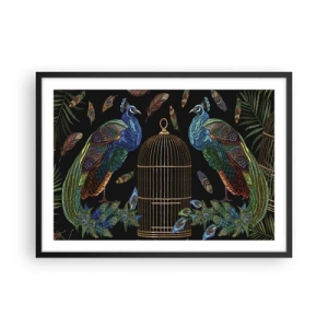 Póster en marco negro - Pavos reales junto a una jaula dorada sobre un fondo negro - 70x50cm - Con plumajes reales - Decoración de pared moderna para salón y dormitorio ARTTOR
