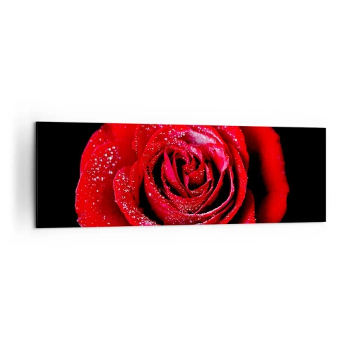Cuadro sobre lienzo - Impresión de Imagen - Una rosa roja cubierta de gotas de rocío sobre un fondo negro. - 160x50cm - Eso es el amor - Decoración de pared moderna para salón y dormitorio ARTTOR