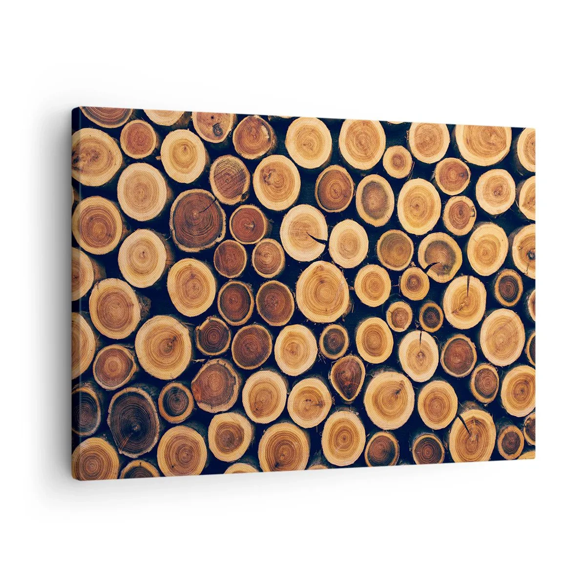 Cuadro sobre lienzo - Impresión de Imagen - Patrón elaborado a partir de secciones transversales de troncos de madera. - 70x50cm - ¿Qué edad tengo? - Decoración de pared moderna para salón y dormitorio ARTTOR