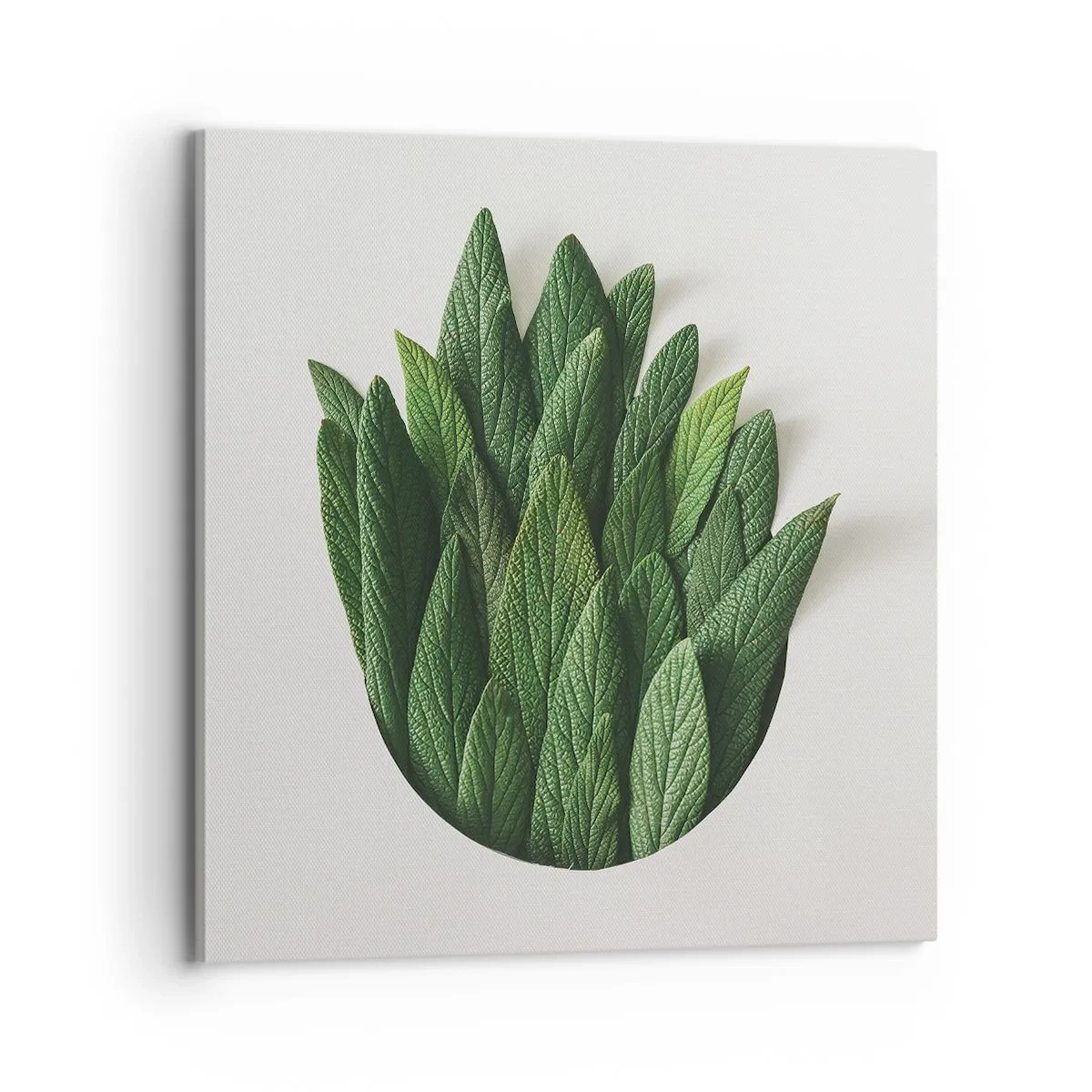 Cuadro sobre lienzo - Impresión de Imagen - Curiosidad desenfrenada - 70x70 cm