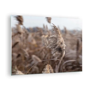 Cuadro sobre vidrio - Impresiones sobre Vidrio - Primer plano de hierba seca meciéndose con el viento - 70x50cm - Es hora de volar con el viento - Decoración de pared moderna para salón y dormitorio ARTTOR