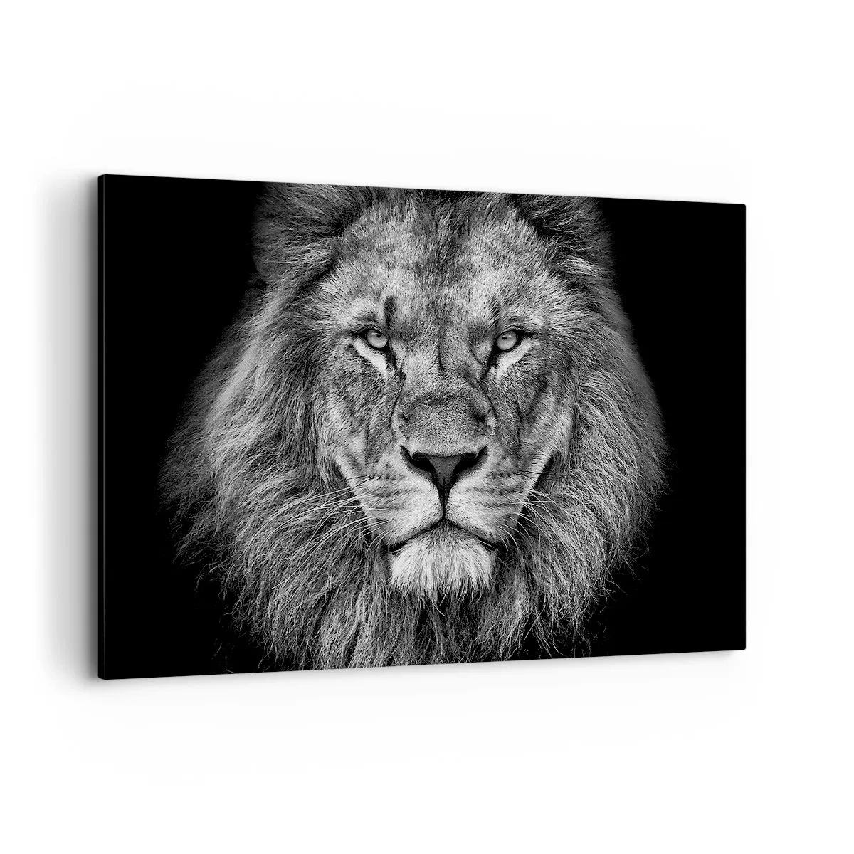 Cuadro sobre lienzo - Impresión de Imagen - Retrato de un majestuoso león en blanco y negro - 120x80cm - Con el atuendo de la coronación - Decoración de pared moderna para salón y dormitorio ARTTOR
