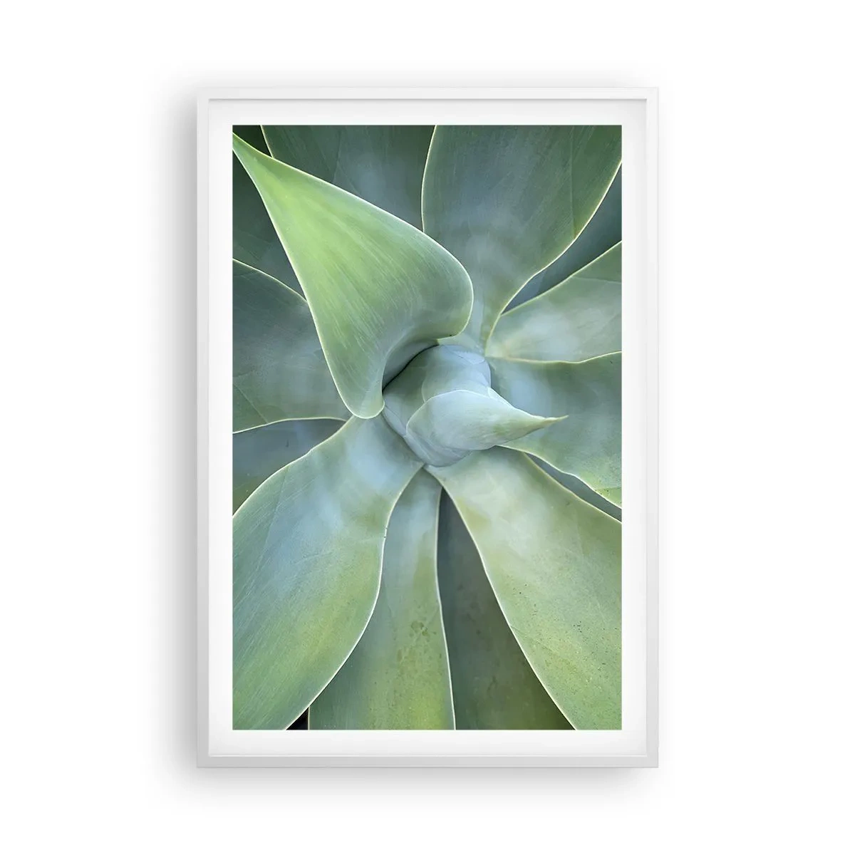 Póster en marco blanco - El nacimiento del verde - 61x91 cm