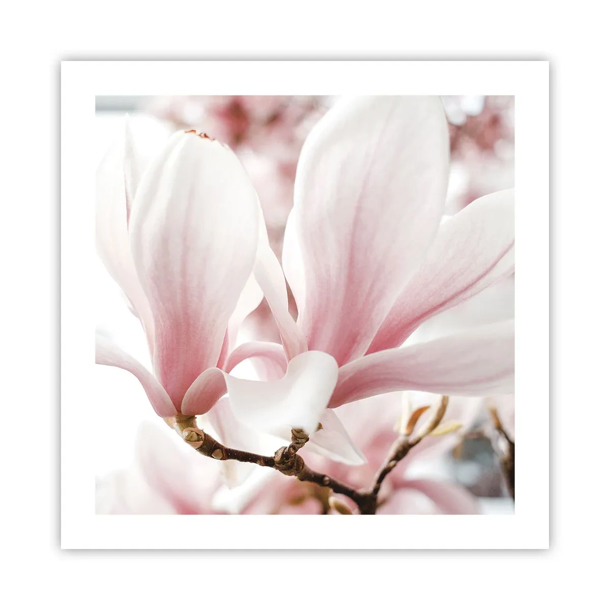 Póster - Inmensidad de la ternura - 50x50 cm