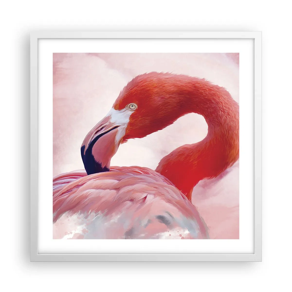 Póster en marco blanco - La belleza de las aves - 50x50 cm