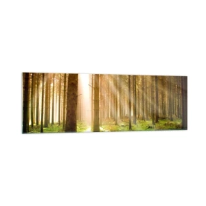 Cuadro sobre vidrio - Impresiones sobre Vidrio - Bosque de coníferas con rayos de sol brillando a través de los árboles. - 160x50cm - Los elfos se aproximan - Decoración de pared moderna para salón y dormitorio ARTTOR