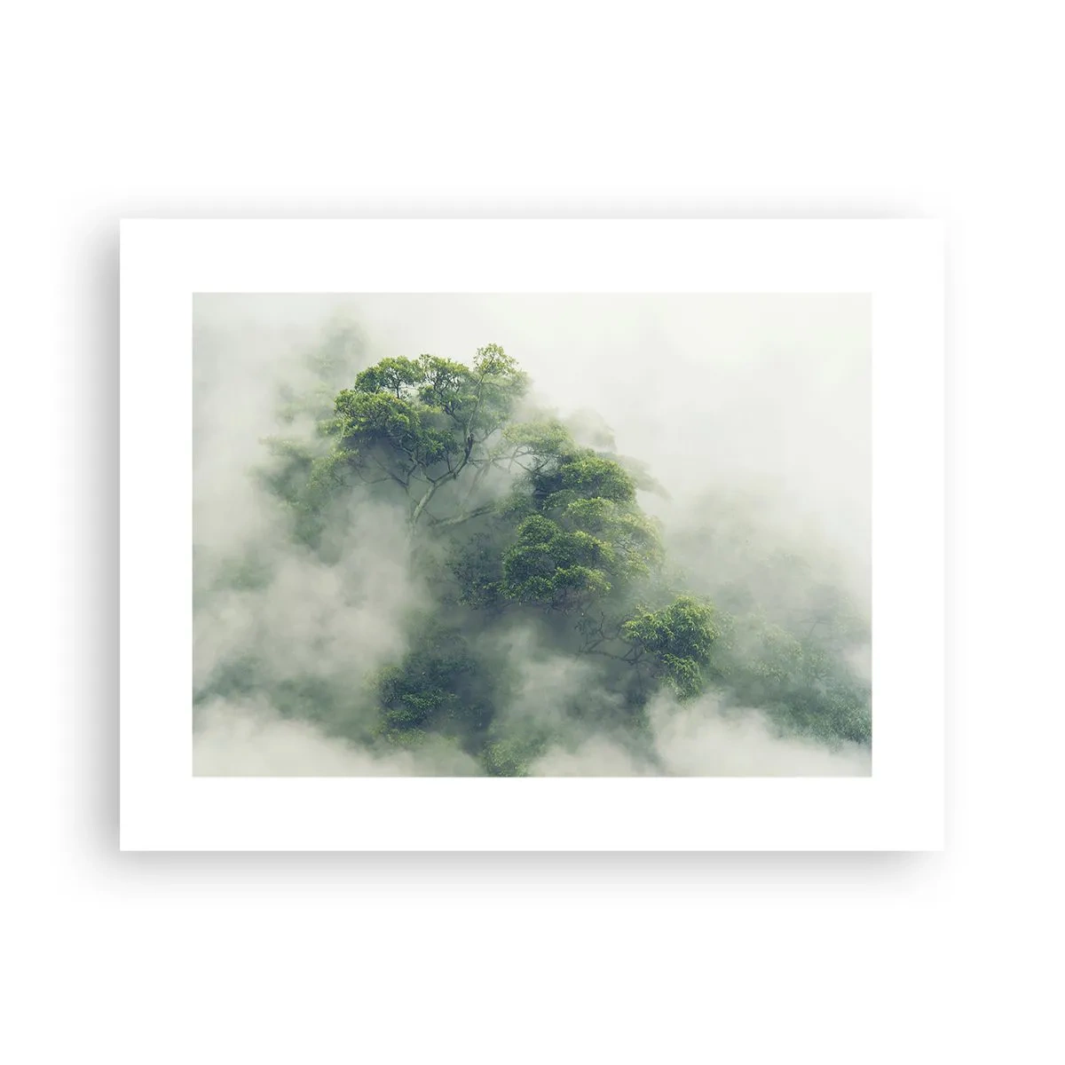Póster - Envuelto en niebla - 40x30 cm
