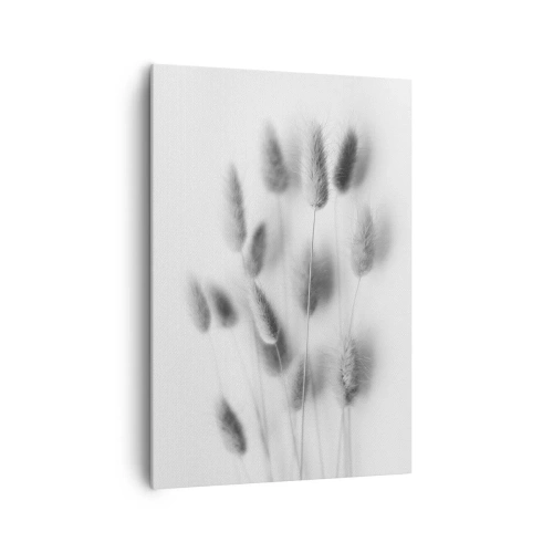Cuadro sobre lienzo - Impresión de Imagen - Hierbas delicadas en tonos grises sobre un fondo blanco. - 70x100cm - Esponjas naturales - Decoración de pared moderna para salón y dormitorio ARTTOR
