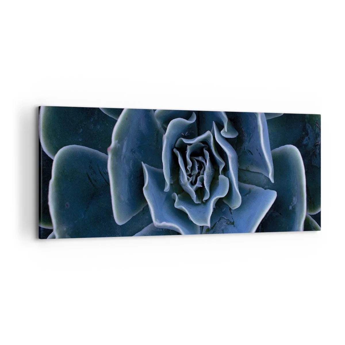 Cuadro sobre lienzo - Impresión de Imagen - Primer plano de una roseta suculenta verde - 120x50cm - Flor del desierto - Decoración de pared moderna para salón y dormitorio ARTTOR